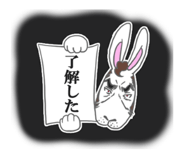 Rabbit executive director sticker #6941678