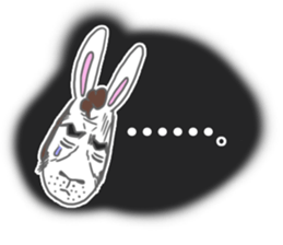 Rabbit executive director sticker #6941687
