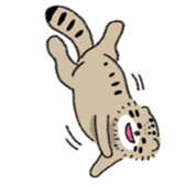 Daily life of Pallas's Cat sticker #6942299