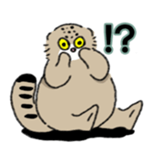Daily life of Pallas's Cat sticker #6942300