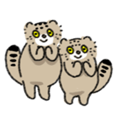 Daily life of Pallas's Cat sticker #6942319