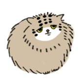 Daily life of Pallas's Cat sticker #6942332