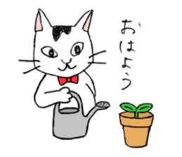 Tabby cat Kolon sticker #6943536