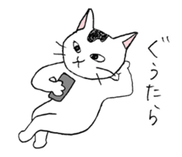 Tabby cat Kolon sticker #6943539