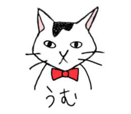 Tabby cat Kolon sticker #6943541