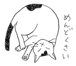 Tabby cat Kolon sticker #6943552