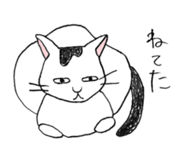 Tabby cat Kolon sticker #6943554
