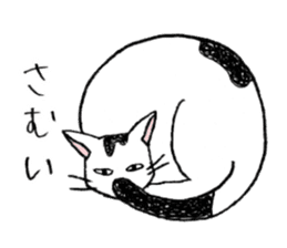 Tabby cat Kolon sticker #6943561