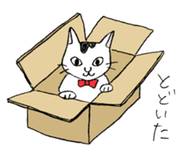 Tabby cat Kolon sticker #6943563