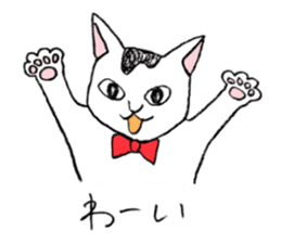 Tabby cat Kolon sticker #6943571