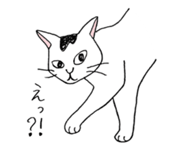 Tabby cat Kolon sticker #6943573