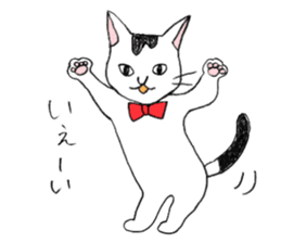 Tabby cat Kolon sticker #6943575