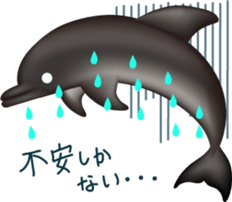 Marine mammals sticker #6943896