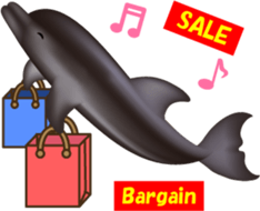 Marine mammals sticker #6943897