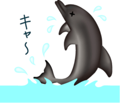 Marine mammals sticker #6943898