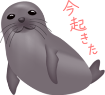 Marine mammals sticker #6943900