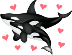 Marine mammals sticker #6943902