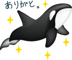 Marine mammals sticker #6943903