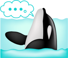 Marine mammals sticker #6943905