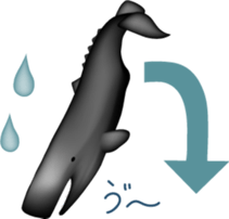 Marine mammals sticker #6943910