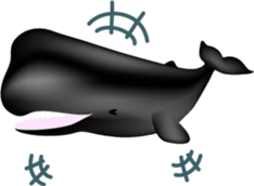 Marine mammals sticker #6943911