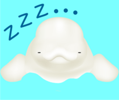 Marine mammals sticker #6943913