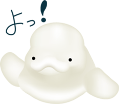 Marine mammals sticker #6943914