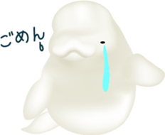 Marine mammals sticker #6943915