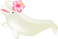 Marine mammals sticker #6943916