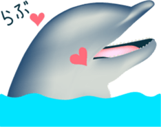 Marine mammals sticker #6943918