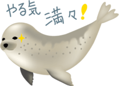 Marine mammals sticker #6943921