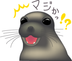 Marine mammals sticker #6943923