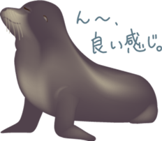 Marine mammals sticker #6943924