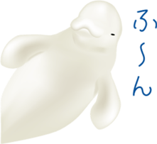 Marine mammals sticker #6943927