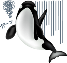 Marine mammals sticker #6943929