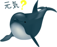 Marine mammals sticker #6943932