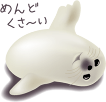 Marine mammals sticker #6943935