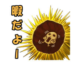 Sea Urchin and God story sticker #6944584