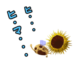 Sea Urchin and God story sticker #6944587