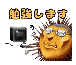 Sea Urchin and God story sticker #6944591