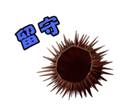 Sea Urchin and God story sticker #6944601