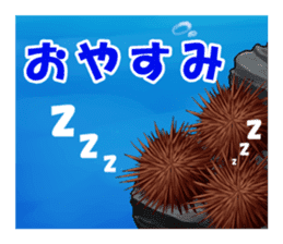 Sea Urchin and God story sticker #6944603
