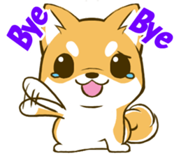 Japanese Shiba Inu tan 3 sticker #6944858