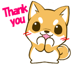 Japanese Shiba Inu tan 3 sticker #6944860