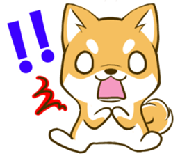 Japanese Shiba Inu tan 3 sticker #6944862