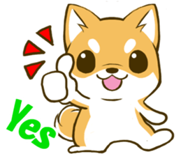 Japanese Shiba Inu tan 3 sticker #6944866