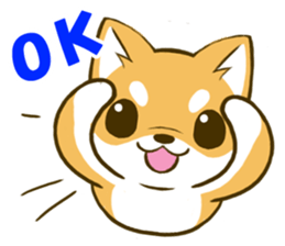 Japanese Shiba Inu tan 3 sticker #6944867