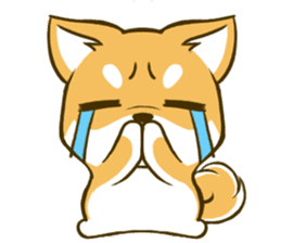 Japanese Shiba Inu tan 3 sticker #6944871