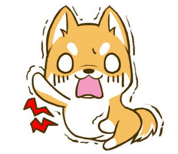 Japanese Shiba Inu tan 3 sticker #6944873