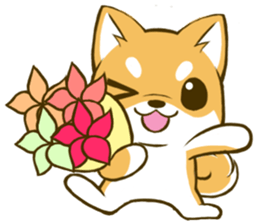 Japanese Shiba Inu tan 3 sticker #6944876